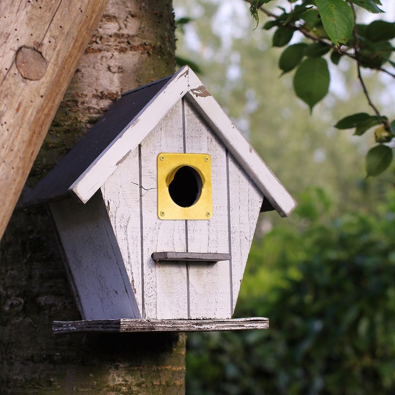 CEDAR ALPHA Bird House Guard Hole Plate - Larger Stainless Steel Shape with Rain Buffle - Entrance Predator Guards Metal Plate - 38 mm 1.5" Hole Sizes - Square Rings Entry Hole Protector (Golden 6 Pieces) - Image 4